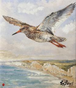 Birds of Britain III