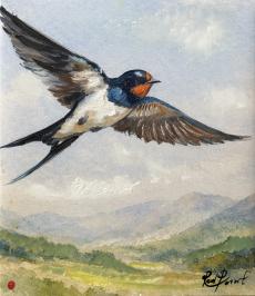 Birds of Britain I