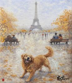 Dogs around the World XI